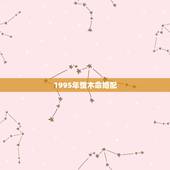 1995年饿木命婚配，饿水命与饿木命的人相克吗？饿木命与饿木命呢？