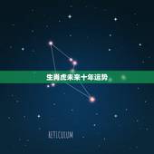 生肖虎未来十年运势，2022年属虎本命年
