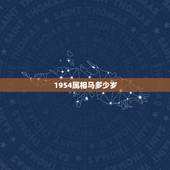 1954属相马多少岁，属马今年多少岁数？