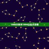 1988大林木1994山头火合婚，想问男88年龙大林木命，四点左右生，