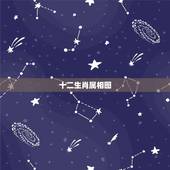 十二生肖属相图，12生肖波色图
