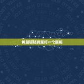 黄鼠狼钻鸡笼打一个属相，黄鼠狼钻鸡笼，猜一个谚语