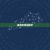 属虎的幸运数字，属虎的人一生幸运数字是什么