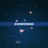 属羊的能克死属鼠的，属鼠的和属羊的相克吗？在一起好吗？