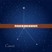 鸡和蛇属相配婚姻如何，89属蛇和69属鸡婚姻怎么样