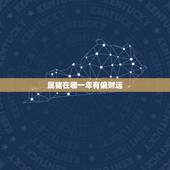 属猪在哪一年有偏财运，属猪今年偏财运如何？