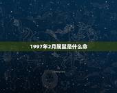 1997年2月属鼠是什么命，阳历1997年2月5日出生的人是属牛还是属