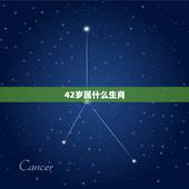 42岁属什么生肖，42号是什么生肖