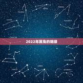 2022年属兔的姻缘，1987年生肖兔十年