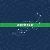 测你上辈子是谁，测测前世是谁