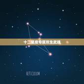 十二星座专属双生武魂，12星座的专属动物是什么？