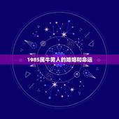 1985属牛男人的婚姻和命运 1985属牛男人的命运
