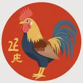 属鸡的2025年多大岁数了：2025属鸡的年龄表
