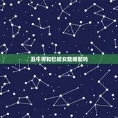丑牛男和巳蛇女能婚配吗，丑牛的最佳婚配属相是什么