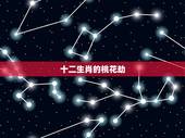 十二生肖的桃花劫，桃花劫男女能在一起吗