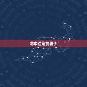 命中注定的妻子，命中注定的英文