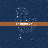 十二星座结婚配对，十二星座的配对