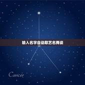 输入名字自动取艺名舞姿，网名女:品老娘的舞姿，男的取什么名字好？