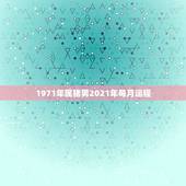 1971年属猪男2021年每月运程，1971年属猪男2021年每月运程