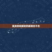 属龙的和属蛇的属相合不合，属龙的和属蛇的在一起好吗