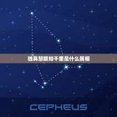 独具慧眼知千里是什么属相，独具慧眼打一生肖
