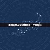 本命年怀孕宝宝会跟我一个属相吗，刚怀孕B超都只能看见一点男方希望一个月
