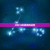 20018年属狗的运势，1982年属狗人一生运程