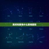 属虎和属兔什么属相最配，属兔和属虎的配吗？合适在一起吗？