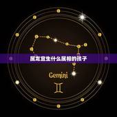 属龙宜生什么属相的孩子，属龙的生属牛的宝宝好吗