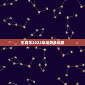 生肖羊2022年运势及运程，属羊人43岁79一难