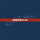 生肖配对表2022年，生肖配对表图片