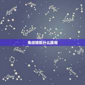 兔结婚配什么属相，属兔的人和什么属相最配 属兔的人的属相婚配