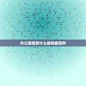 办公室摆放什么植物最招财，办公室放什么花最旺财