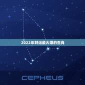 2022年财运最火爆的生肖，十二生肖每日运势什么时候最好