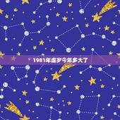 1981年虚岁今年多大了，28虚岁属什么