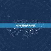 6几年属兔多大年龄，40岁属兔是多少年的