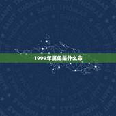 1999年属兔是什么命，1999年属兔人城头土命