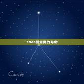 1965属蛇男的寿命，1977年属蛇的人寿命多大