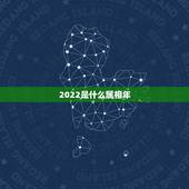 2022是什么属相年，2022什么年属什么，什么命