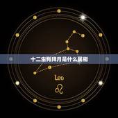 十二生肖拜月是什么属相，十二生肖犯月份