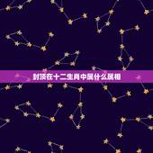 封顶在十二生肖中属什么属相，灯笼在十二生肖中属什么