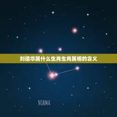 刘德华属什么生肖生肖属相的含义，刘德华是什么生肖的