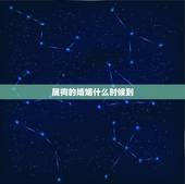 属狗的婚姻什么时候到，属狗和属狗的婚姻解说
