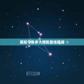 属蛇今年多大婚配最佳属相，2019年属相蛇婚配最佳属相是什么属相