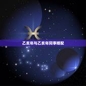 乙亥年与乙亥年同事婚配，乙亥年男与庚辰年女婚配