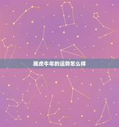 属虎牛年的运势怎么样，1974男虎一生几次婚姻