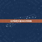儿子名字大全2022牛年生，2022 年属牛男宝宝取名字大全