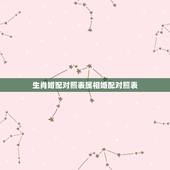 生肖婚配对照表属相婚配对照表，最吉利最齐全十二生肖婚配表搭配的吗