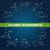 2022年属兔人各月运势的简单介绍