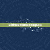 鼠和蛇相配婚姻如何能走到最后吗，属蛇和属鼠相配吗？